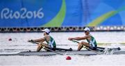 11 August 2016; Gary O'Donovan and Paul O'Donovan of Ireland in action during the Men's Lightweight Double Sculls semi-finals in Lagoa Stadium, Copacabana, during the 2016 Rio Summer Olympic Games in Rio de Janeiro, Brazil. Photo by Stephen McCarthy/Sportsfile