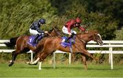 11 August 2016; Holy Cat, right, with Colin Keane up, races Alphabet, left, with Wayne Lordan up, who finished second, on their way to winning the Irish Stallion Farms European Breeders Fund Fillies Maiden during the Bulmers Evening Meeting at Leopardstown Racecourse in Dublin. Photo by Seb Daly/Sportsfile