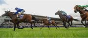 11 August 2016; Tribal Beat, left, with Kevin Manning up, on their way to winning the Invesco Pension Consultants Desmond Stakes ahead of Cougar Mountain, second from left, Hit It A Bomb, third from left, with Seamie Heffernan up, and Custom Cut, with Daniel Tudhope up, at Leopardstown Racecourse in Dublin. Photo by Cody Glenn/Sportsfile