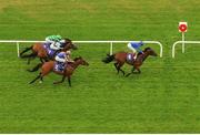 11 August 2016; Tribal Beat, with Kevin Manning up, cross the line to win the Invesco Pension Consultants Desmond Stakes ahead of second place finisher Cougar Mountain, with Donnacha O'Brien up, third place Hit It A Bomb, with Seamie Heffernan up, and fourth place Custom Cut, with Daniel Tudhope up, at Leopardstown Racecourse in Dublin. Photo by Cody Glenn/Sportsfile