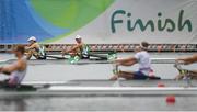 12 August 2016; Paul O'Donovan, left, and Gary O'Donovan of Ireland cross the line behind the French team to claim silver in the Men's Lightweight Double Sculls A final in Lagoa Stadium, Copacabana, during the 2016 Rio Summer Olympic Games in Rio de Janeiro, Brazil. Photo by Brendan Moran/Sportsfile