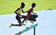 13 August 2016; Peruth Chemutai (L) of Uganda and Ruth Jebet of Bahrian compete in round 1 of the Women's 3000m steeplechase in the Olympic Stadium, Maracanã, during the 2016 Rio Summer Olympic Games in Rio de Janeiro, Brazil. Photo by Brendan Moran/Sportsfile