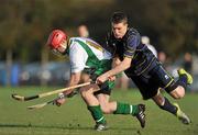 30 October 2010; Neil Heffernan, Ireland, in action against Stevie Stewart, Scotland. U21 Shinty - Hurling International Final, Ireland v Scotland, Ratoath GAA Club, Ratoath, Co. Meath. Picture credit: Barry Cregg / SPORTSFILE