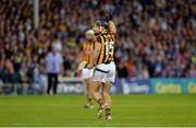 13 August 2016; Richie Hogan of Kilkenny celebrates scoring a point during the GAA Hurling All-Ireland Senior Championship Semi-Final Replay game between Kilkenny and Waterford at Semple Stadium in Thurles, Co Tipperary. Photo by Piaras Ó Mídheach/Sportsfile