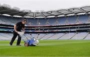14 August 2016; Groundsman Enda Colfer paints the lines on the pitch prior to the GAA Hurling All-Ireland Senior Championship Semi-Final game between Galway and Tipperary at Croke Park, Dublin. Photo by Piaras Ó Mídheach/Sportsfile
