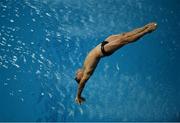 15 August 2016; Sebastian Morales of Colombia in action during the preliminary round of the Men's 3m springboard in the Maria Lenk Aquatics Centre, Barra da Tijuca, during the 2016 Rio Summer Olympic Games in Rio de Janeiro, Brazil. Photo by Brendan Moran/Sportsfile