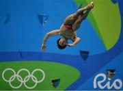 15 August 2016; Yuan Cao of China competes in the preliminary round of the Men's 3m springboard in the Maria Lenk Aquatics Centre, Barra da Tijuca, during the 2016 Rio Summer Olympic Games in Rio de Janeiro, Brazil. Photo by Brendan Moran/Sportsfile