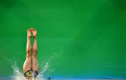 15 August 2016; Matthieu Rosset of France competes in the preliminary round of the Men's 3m springboard in the Maria Lenk Aquatics Centre, Barra da Tijuca, during the 2016 Rio Summer Olympic Games in Rio de Janeiro, Brazil. Photo by Brendan Moran/Sportsfile