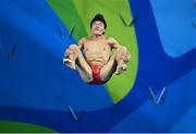 16 August 2016; Yuan Cao of China during the Men's 3m springboard final at the Maria Lenk Aquatics Centre during the 2016 Rio Summer Olympic Games in Rio de Janeiro, Brazil. Photo by Stephen McCarthy/Sportsfile