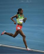 19 August 2016; Almaz Ayana of Ethiopia during the Women's 5000m final in the Olympic Stadium, Maracanã, during the 2016 Rio Summer Olympic Games in Rio de Janeiro, Brazil. Photo by Brendan Moran/Sportsfile