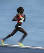 19 August 2016; Vivian Jepkemoi Cheruiyot of Kenya on her way to winning the Women's 5000m final in a world record time of 14:26.17 in the Olympic Stadium, Maracanã, during the 2016 Rio Summer Olympic Games in Rio de Janeiro, Brazil. Photo by Brendan Moran/Sportsfile