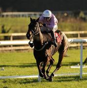 14 November 2010; Solwhit, with Davy Condon up, race clear after the last on their way to winning the Dobbins & Madigans at Punchestown Hurdle. Horse Racing, Punchestown Racecourse, Punchestown, Co. Kildare. Picture credit: Ray McManus / SPORTSFILE
