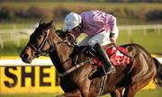 14 November 2010; Solwhit, with Davy Condon up, race on to the finish after jumping the last on their way to winning the Dobbins & Madigans at Punchestown Hurdle. Horse Racing, Punchestown Racecourse, Punchestown, Co. Kildare. Picture credit: Ray McManus / SPORTSFILE