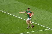 21 August 2016; Jason Doherty of Mayo after scorings his side's first goal during the GAA Football All-Ireland Senior Championship Semi-Final game between Mayo and Tipperary at Croke Park in Dublin. Photo by Piaras Ó Mídheach/Sportsfile