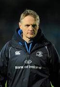 19 November 2010; Leinster head coach Joe Schmidt. Celtic League, Leinster v Dragons, RDS, Ballsbridge, Dublin. Picture credit: Stephen McCarthy / SPORTSFILE