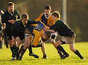 22 November 2010; Andrew Kelly, centre, CBS Naas, with support from Dermot Murphy, is tackled by Luke Daunt Smith, left, and David Hastie, East Glendalough. Duff Cup Semi-Final, CBS Naas v East Glendalough, Old Wesley RFC, Kiltiernan, Co. Dublin. Picture credit: Barry Cregg / SPORTSFILE