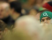 20 November 2010; An Irish supporter looks on during the game. Ireland v New Zealand, Autumn International, Aviva Stadium, Lansdowne Road, Dublin. Picture credit: Brendan Moran / SPORTSFILE