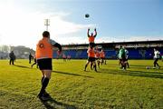 23 November 2010; Ireland's Sean Cronin throws the ball into the line out during squad training ahead of their Autumn International against Argentina on Sunday. Ireland Rugby Squad Training, Donnybrook Stadium, Donnybrook, Dublin. Picture credit: Brian Lawless / SPORTSFILE