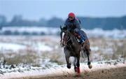30 November 2010; Giants Quest, with Keith Maher up, takes to the sand gallops, early in the morning, despite the freezing conditions at the Curragh Racecourse, Co. Kildare. Picture credit: Barry Cregg / SPORTSFILE