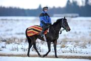 30 November 2010; Mount Coral, with Barry Cash up, make their way back in from the sand gallops, early in the morning, despite the freezing conditions at the Curragh Racecourse, Co. Kildare. Picture credit: Barry Cregg / SPORTSFILE