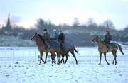 30 November 2010; A general view of horses and jockeys coming off the sand gallops at the Curragh Racecourse, Co. Kildare. Picture credit: Barry Cregg / SPORTSFILE