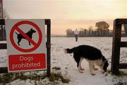 30 November 2010; A dog and his owner take a stroll through the playing fields at Kill GAA Club, Kill, Co. Kildare. Picture credit: Barry Cregg / SPORTSFILE