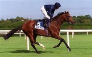 8 September 2001; Galileo, with Mick Kinane up, goes to post prior to the Ireland The Food Island, Irish Champion Stakes, at Leopardstown Racecourse in Dublin. Photo by Ray McManus/Sportsfile
