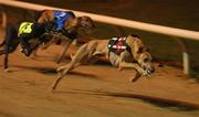 8 September 2001; Cool Performance, 6, leads the eventual winner Droopys Kewell, 5, and Annual Award round the first bend, in the first semi-final of the paddypower.com Irish Greyhound Derby at Shelbourne Park in Dublin. Photo by Ray McManus/Sportsfile