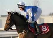 5 December 2010; Rahya Cass, with Stephen Gray up. Horse racing, Dundalk, Co. Louth. Photo by Sportsfile