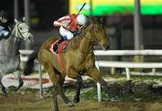 10 December 2010; Webbow, with Fran Berry up, on the way to winning The Crowne Plaza Race & Stay Package Race. Horse racing, Dundalk Racecourse, Dundalk, Co. Louth. Photo by Sportsfile