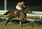 10 December 2010; Empowering, with Joseph O'Brien up, on the way to winning The Irish Stallion Farms European Breeders Fund Fillies Maiden. Horse racing, Dundalk Racecourse, Dundalk, Co. Louth. Photo by Sportsfile