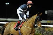 10 December 2010; Five Two, with Joseph O'Brien up. Horse racing, Dundalk Racecourse, Dundalk, Co. Louth. Photo by Sportsfile
