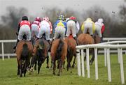 15 December 2010; A general view of the field rounding the first bend during The Bar One Racing Juvenile 3-Y-O Hurdle. Fairyhouse Racecourse, Fairyhouse, Co. Meath. Picture credit: Barry Cregg / SPORTSFILE