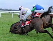 15 December 2010; D'Haguenet, with Paul Townend up, falls at the last fence as eventual winner Jessies Dream, with Timmy Murphy up, rides on to victory in The Bar One Racing Drinmore Novice Steeplechase. Fairyhouse Racecourse, Fairyhouse, Co. Meath. Picture credit: Matt Browne / SPORTSFILE