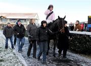 18 December 2010; Oscars Wells, with jockey Robbie Power up, being led into the parade ring by owner Michael O'Hare, right, and trainer Jessica Harrington, 3rd from left, along with members of the winning syndicate after winning The Navan Novice Hurdle. Navan Racecourse, Proudstown, Navan, Co. Meath. Picture credit: Barry Cregg / SPORTSFILE