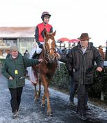 18 December 2010; Rigour Back Bob, with jockey Andrew McNamara up, is led back into the parade ring by Galway hurling manager John McIntyre, right, after winning The Philips Electronics Tara Hurdle. Navan Racecourse, Proudstown, Navan, Co. Meath. Picture credit: Barry Cregg / SPORTSFILE