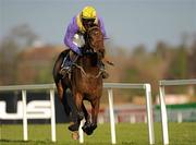 28 December 2010; So Young, with Paul Townend up, comes to post to win The Madigans Maiden Hurdle. Leopardstown Christmas Racing Festival 2010, Leopardstown Racecourse, Leopardstown, Dublin. Picture credit: Barry Cregg / SPORTSFILE