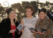 28 December 2010; Enjoying the a day at the races are, from left, Debbie Black, Gráinne Lyons and Róisín Lyons all from Blanchardstown, Co. Dublin. Leopardstown Christmas Racing Festival 2010, Leopardstown Racecourse, Leopardstown, Dublin. Picture credit: Barry Cregg / SPORTSFILE