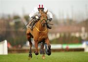 28 December 2010; Pandorama, with Paul Carberry up, comes to post to win The Lexus Steeplechase. Leopardstown Christmas Racing Festival 2010, Leopardstown Racecourse, Leopardstown, Dublin. Picture credit: Barry Cregg / SPORTSFILE