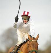28 December 2010; Pandorama, with Paul Carberry up, celebrates after passing the post to win The Lexus Steeplechase. Leopardstown Christmas Racing Festival 2010, Leopardstown Racecourse, Leopardstown, Dublin. Picture credit: Barry Cregg / SPORTSFILE