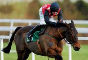 29 December 2010; Cottrelsbooley, with Paul Towend up, on their way to winning The paddypower.com Android App Maiden Hurdle. Leopardstown Christmas Racing Festival 2010, Leopardstown Racecourse, Leopardstown, Dublin. Picture credit: Stephen McCarthy / SPORTSFILE