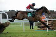 29 December 2010; Cottrelsbooley, with Paul Townend up, jumps the last during The paddypower.com Android App Maiden Hurdle. Leopardstown Christmas Racing Festival 2010, Leopardstown Racecourse, Leopardstown, Dublin. Picture credit: Matt Browne / SPORTSFILE