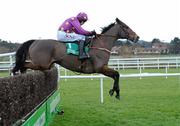 29 December 2010; Big Zeb, with Barry Geraghty up, jumps the last on their way to winning the Paddy Power Dial-a-Bet Steeplechase. Leopardstown Christmas Racing Festival 2010, Leopardstown Racecourse, Leopardstown, Dublin. Picture credit: Matt Browne / SPORTSFILE