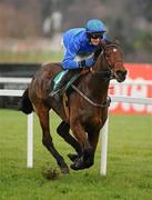 29 December 2010; Hurricane Fly, with Paul Townend up, on their way to winning The paddypower.com iPhone App December Festival Hurdle. Leopardstown Christmas Racing Festival 2010, Leopardstown Racecourse, Leopardstown, Dublin. Picture credit: Stephen McCarthy / SPORTSFILE