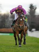 29 December 2010; Big Zeb, with Barry Geraghty up, on their way to winning The Paddy Power Dial-a-Bet Steeplechase. Leopardstown Christmas Racing Festival 2010, Leopardstown Racecourse, Leopardstown, Dublin. Picture credit: Stephen McCarthy / SPORTSFILE
