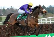 29 December 2010; Majestic Concorde, with Robbie McNamara up, jumps the last on their way to winning The Paddy Power Steeplechase. Leopardstown Christmas Racing Festival 2010, Leopardstown Racecourse, Leopardstown, Dublin. Picture credit: Matt Browne / SPORTSFILE