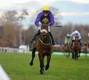 29 December 2010; Majestic Concorde, with Robbie McNamara up, on their way to winning The Paddy Power Steeplechase. Leopardstown Christmas Racing Festival 2010, Leopardstown Racecourse, Leopardstown, Dublin. Picture credit: Stephen McCarthy / SPORTSFILE