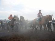 29 December 2010; Horses and riders return to the winners enclosure, amid steam, following The Paddy Power Steeplechase. Leopardstown Christmas Racing Festival 2010, Leopardstown Racecourse, Leopardstown, Dublin. Picture credit: Stephen McCarthy / SPORTSFILE