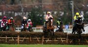 29 December 2010; Gormanstown Cuckoo, with Robbie Power up, centre, during The paddypower.com Android App Maiden Hurdle. Leopardstown Christmas Racing Festival 2010, Leopardstown Racecourse, Leopardstown, Dublin. Picture credit: Stephen McCarthy / SPORTSFILE