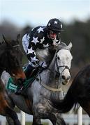 29 December 2010; Hidden Diamon, with Roger Loughran up, during The paddypower.com Android App Maiden Hurdle. Leopardstown Christmas Racing Festival 2010, Leopardstown Racecourse, Leopardstown, Dublin. Picture credit: Stephen McCarthy / SPORTSFILE